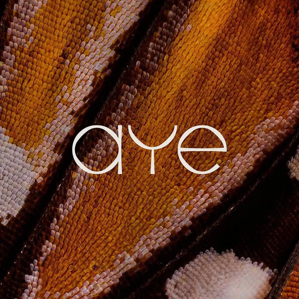Aye logo by Studio Mateusaraujobr
