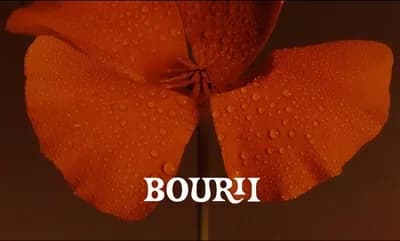 Bourii logo by Bourii