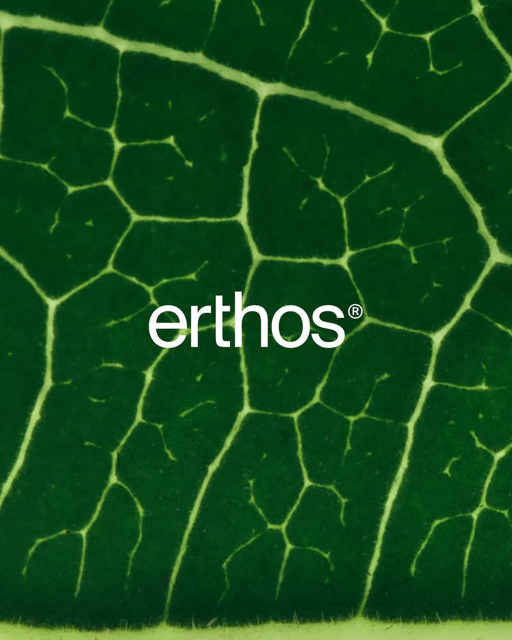 Erthos