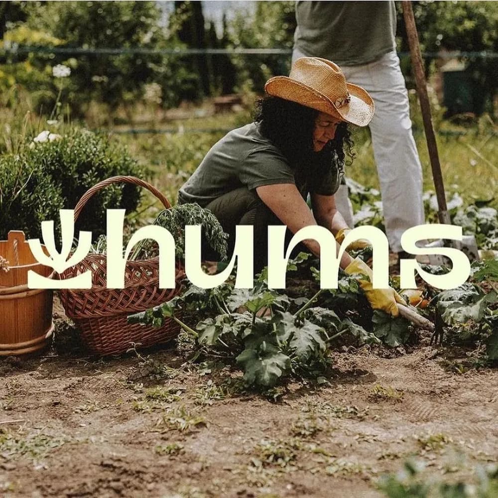 Hums logo by Julien De Meyère