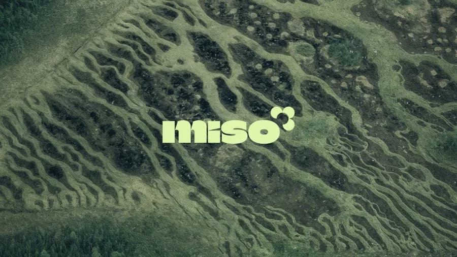 Miso logo by Maëlie & Drice