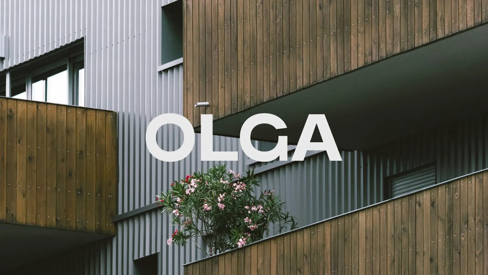 OLGA logo by Kartik