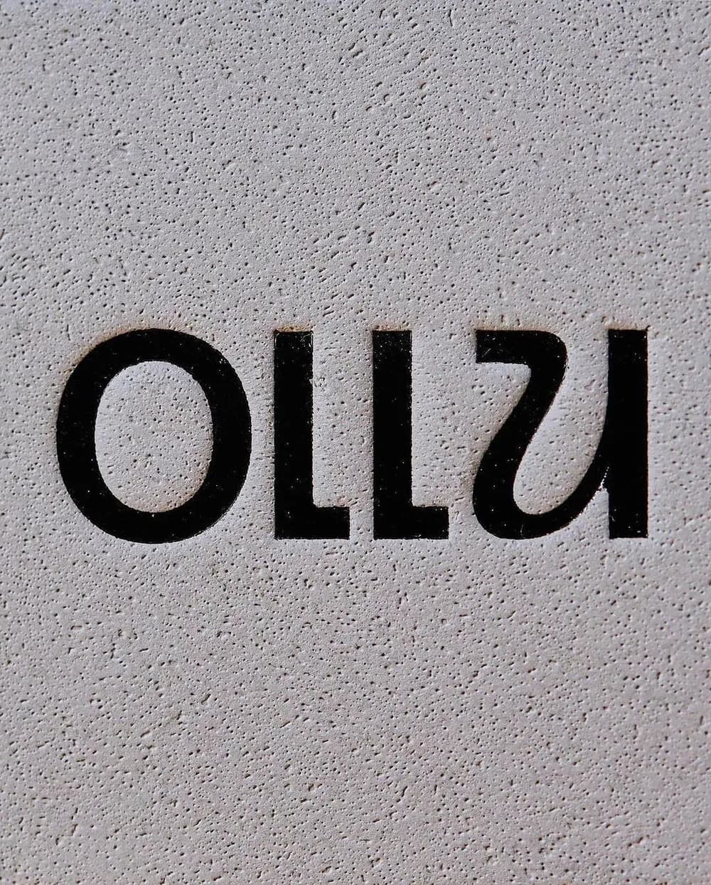 Ollu logo by Field Day Studio