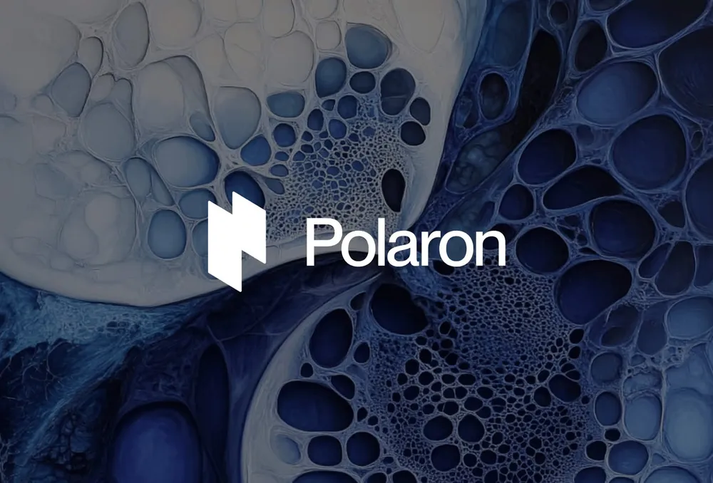 Polaron logo by Shoreditch Design