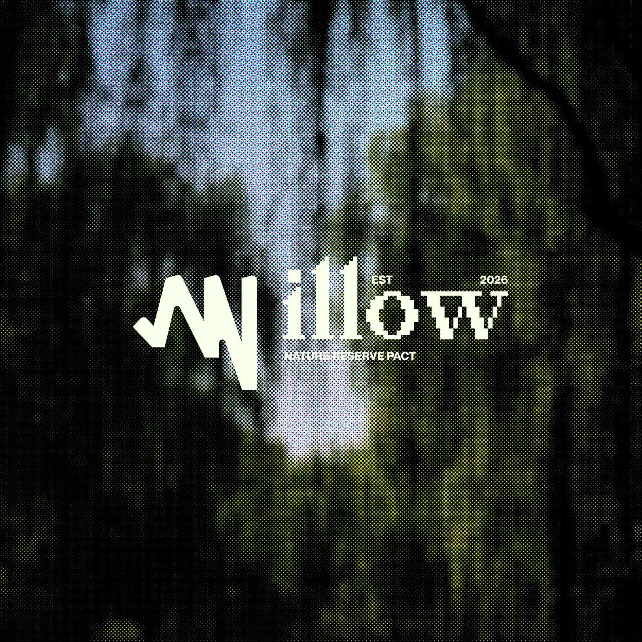 Willow