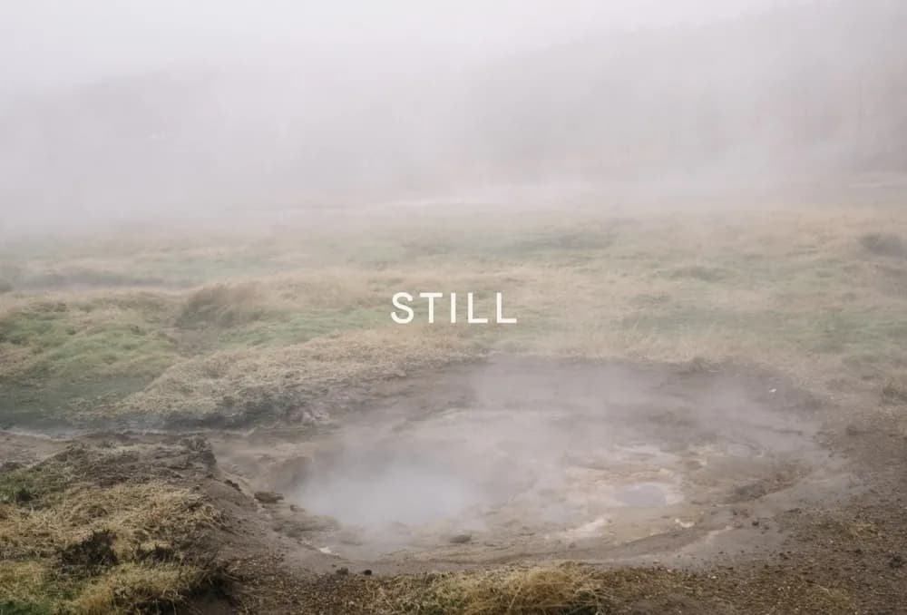 Still logo by Studio Don