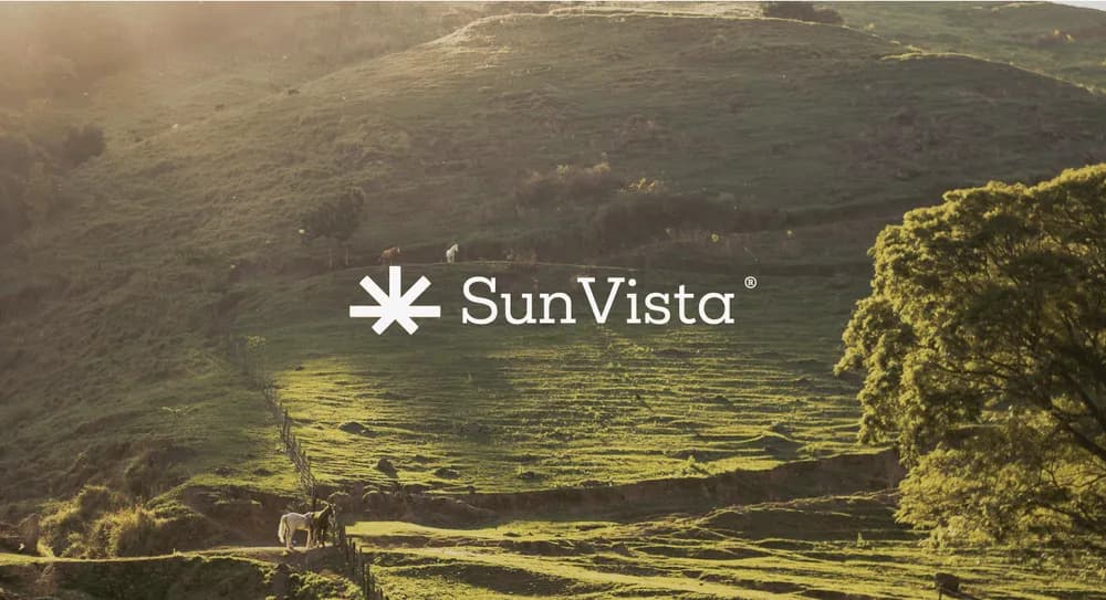 SunVista logo by Mustapha Elkasimi
