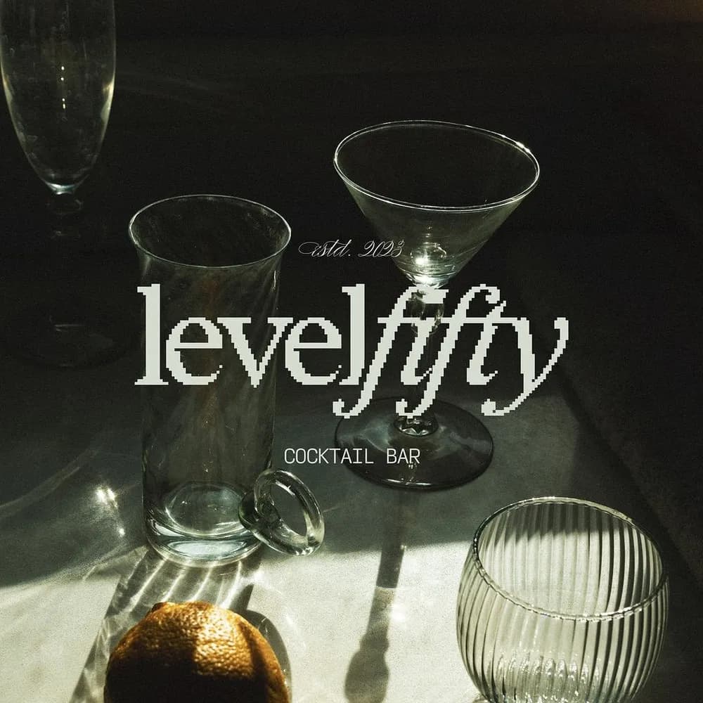 Levelfifty logo by Veerle Klein