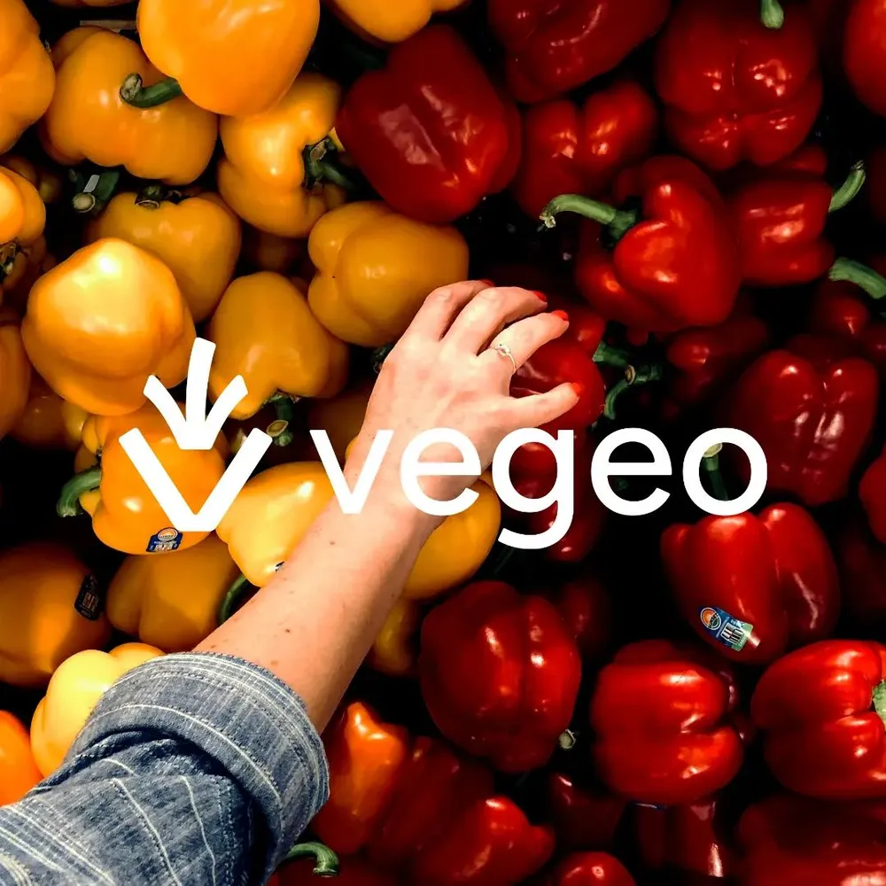 Vegeo logo by George Femi Olofinjana